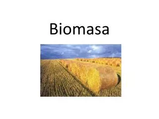 biomasa