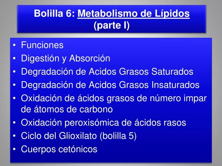 bolilla 6 metabolismo de l pidos parte i