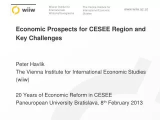 External environment and impacts on CESEE