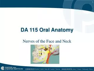 DA 115 Oral Anatomy