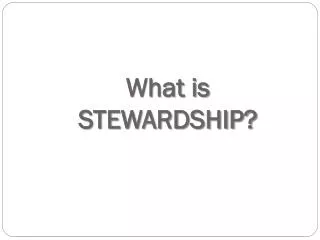 What is STEWARDSHIP?