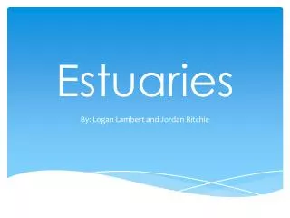 Estuaries