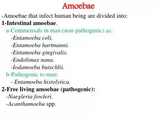 Amoebae -Amoebae that infect human being are divided into: 1-Intestinal amoebae .