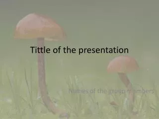 Tittle of the presentation