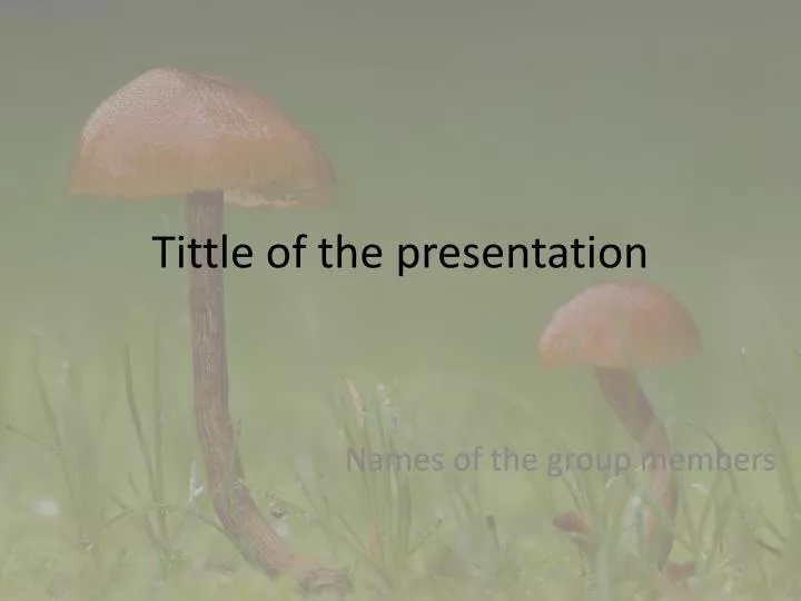 tittle of the presentation