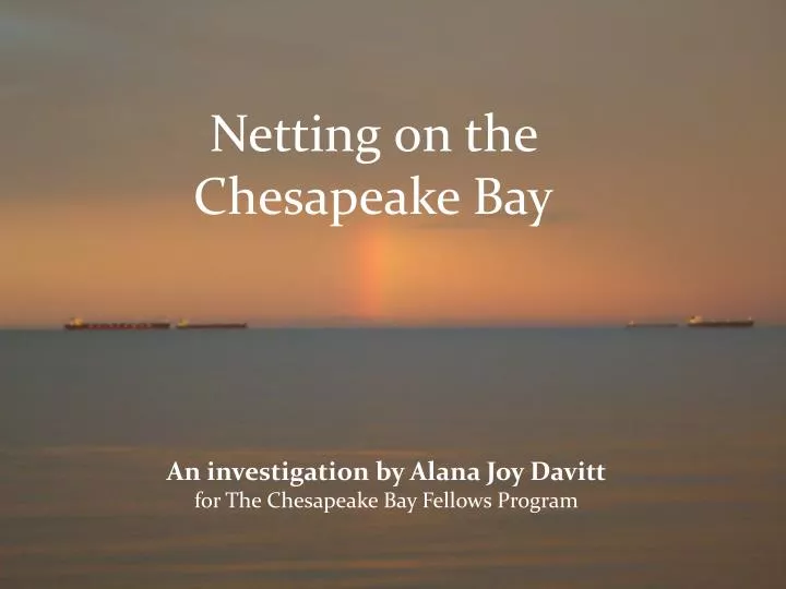 fishing and netting on the chesapeake bay