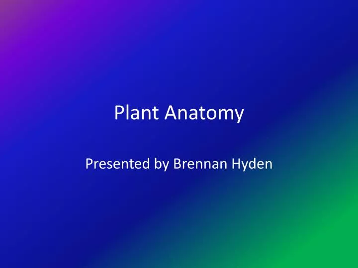 plant anatomy