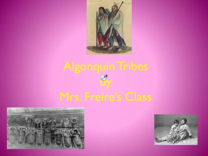 algonquin tribes by mrs freire s class