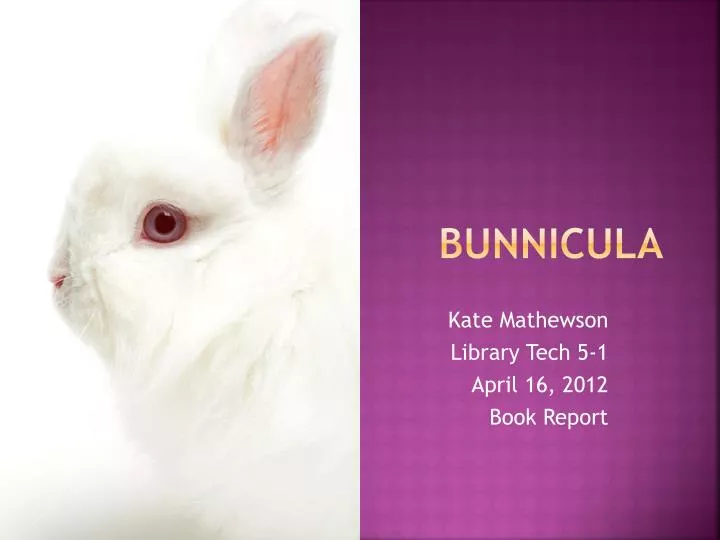 bunnicula