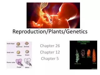 Reproduction/Plants/Genetics