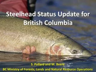 Steelhead Status Update for British Columbia