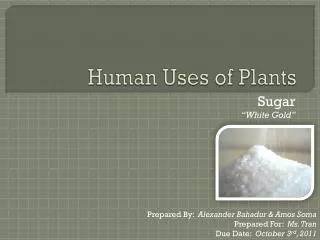 Human Uses of Plants