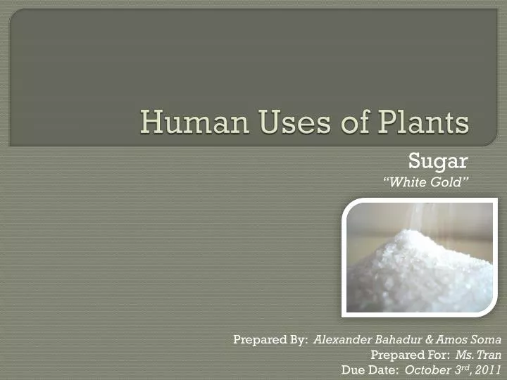 human uses of plants