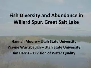 Fish Diversity and Abundance in Willard Spur, Great Salt Lake