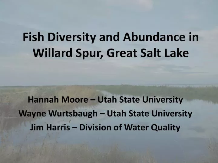 fish diversity and abundance in willard spur great salt lake