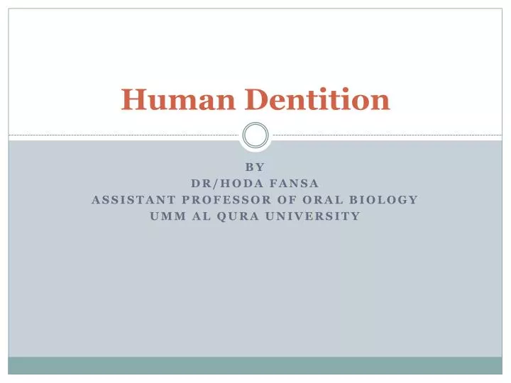human dentition