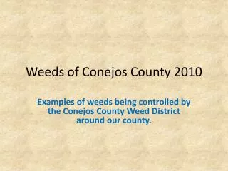 Weeds of Conejos County 2010