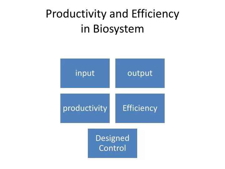 productivity and efficiency in biosystem