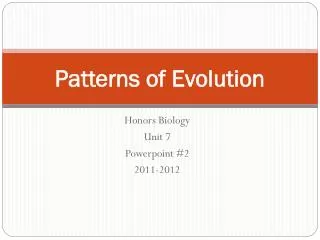 patterns of evolution
