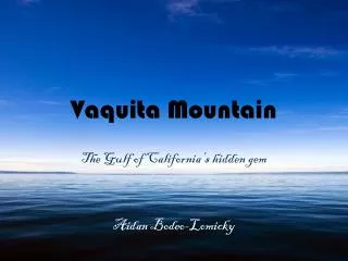 Vaquita Mountain