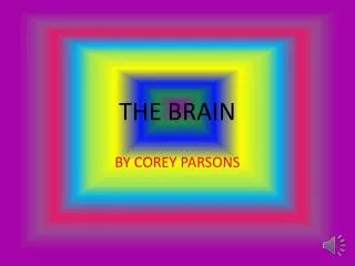 THE BRAIN