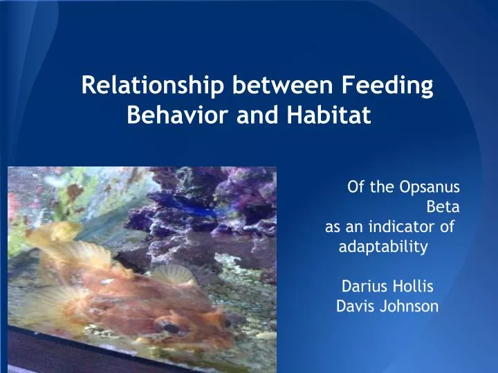 relationship between feeding behavior and habitat
