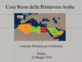 cosa resta della primavera araba