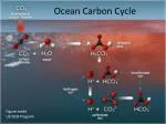 Ocean Carbon Cycle - slide 1