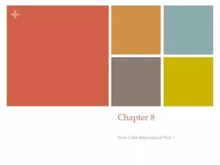 chapter 8