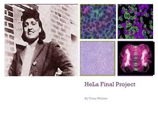 HeLa Final Project