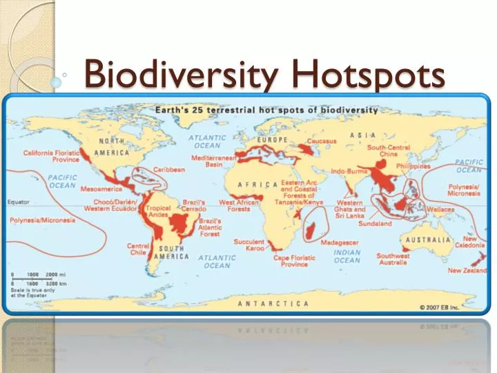 biodiversity hotspots