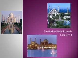 The Muslim World Expands Chapter 18