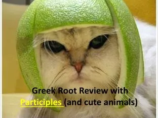 Greek Root Review with Participles (and cute animals)