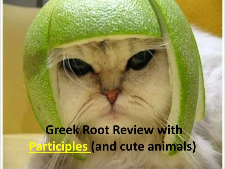 greek root review with participles and cute animals