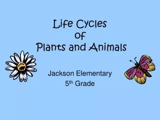 Life Cycles of Plants and Animals