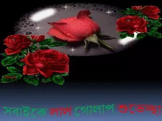 সবাইকে লাল গোলাপ শুভেচ্ছা