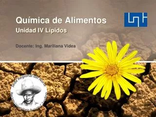 qu mica de alimentos