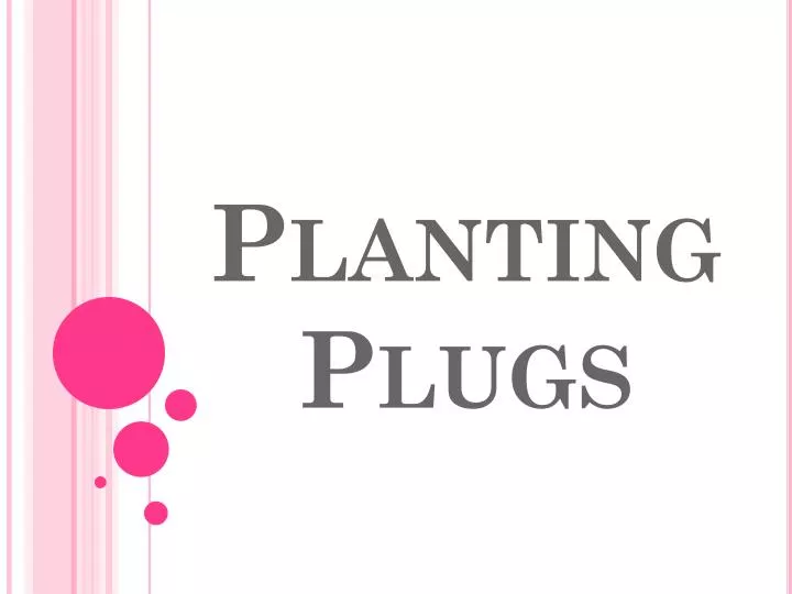 planting plugs