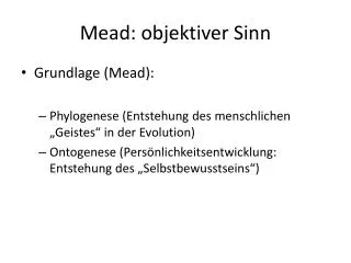 mead objektiver sinn