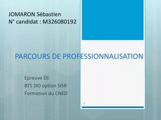 parcours de professionnalisation