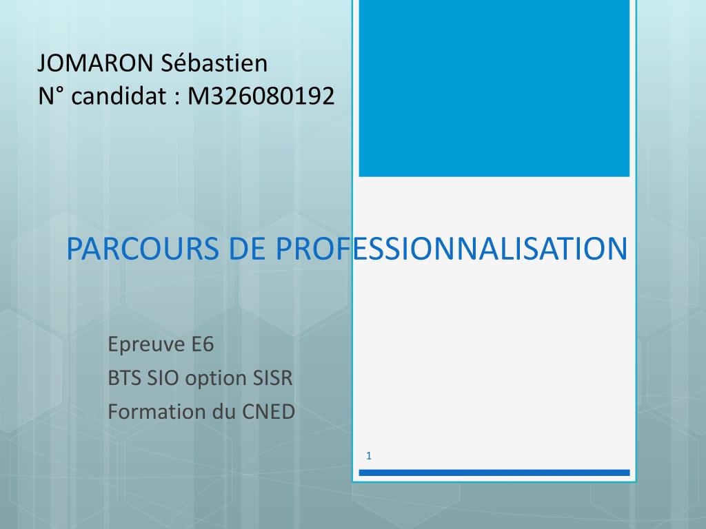 PPT - PARCOURS DE PROFESSIONNALISATION PowerPoint Presentation, free