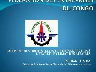 federation des entreprises du congo