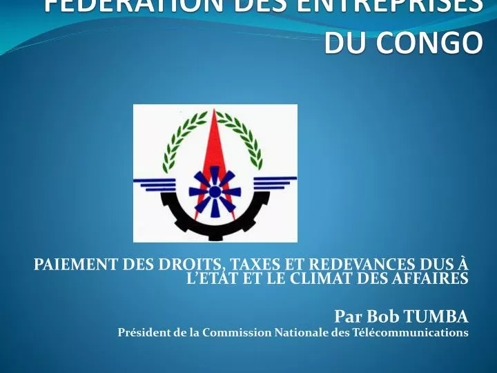 federation des entreprises du congo