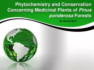 Phytochemistry and Conservation Concerning Medicinal Plants of Pinus ponderosa Forests
