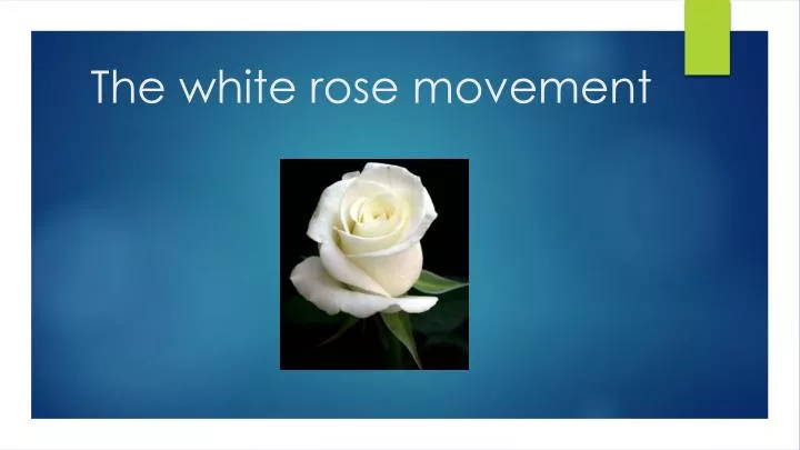 the white rose movement