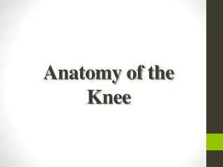 Anatomy of the Knee