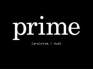 carwinism audi