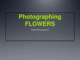 Photographing FLOWERS