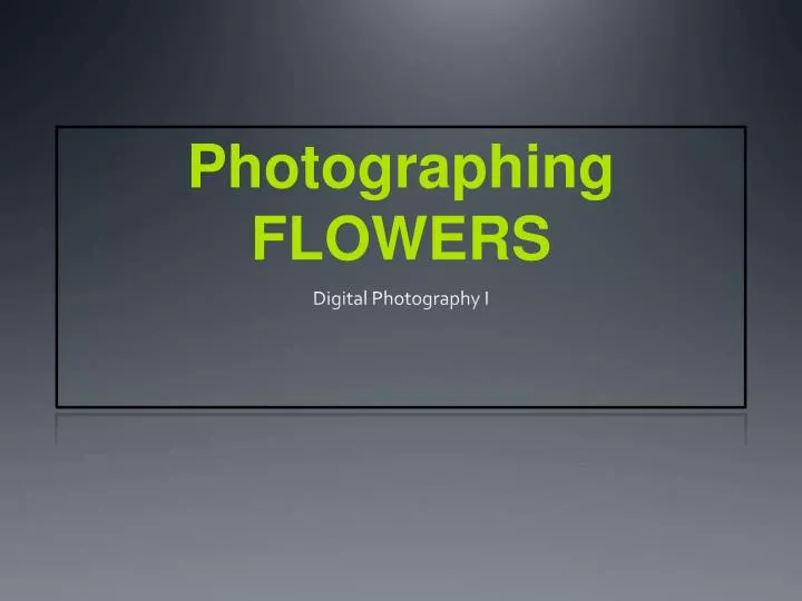 photographing flowers