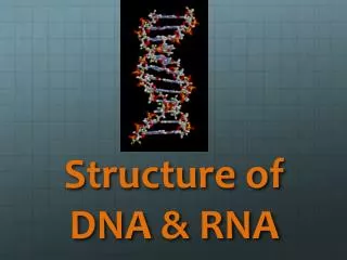 Structure of DNA &amp; RNA